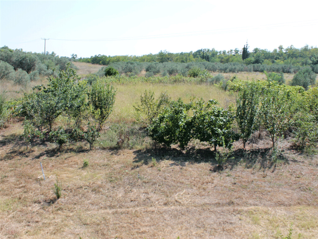 Дом в Олимпиаки-Акти, Греция, 175 м² - фото 12