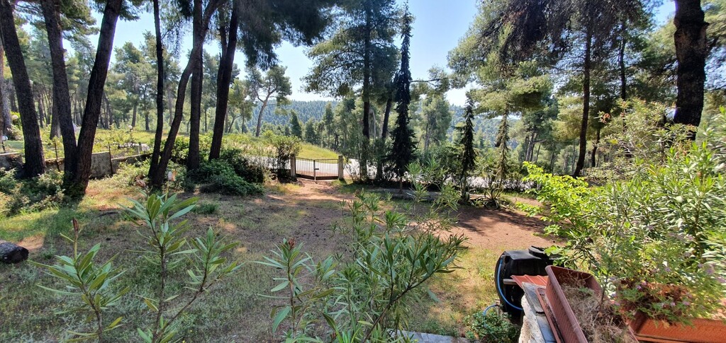 Вилла на Кассандре, Греция, 440 м² - фото 12