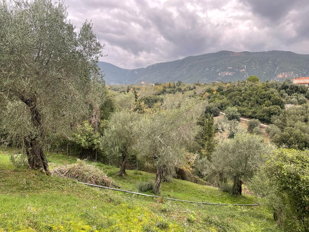 Земля на Корфу, Греция, 2 463 м² - фото 12