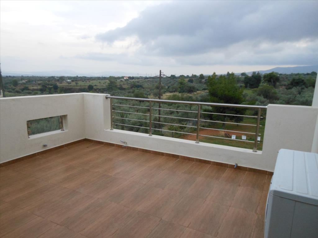 Дом в Аттике, Греция, 230 м² - фото 12