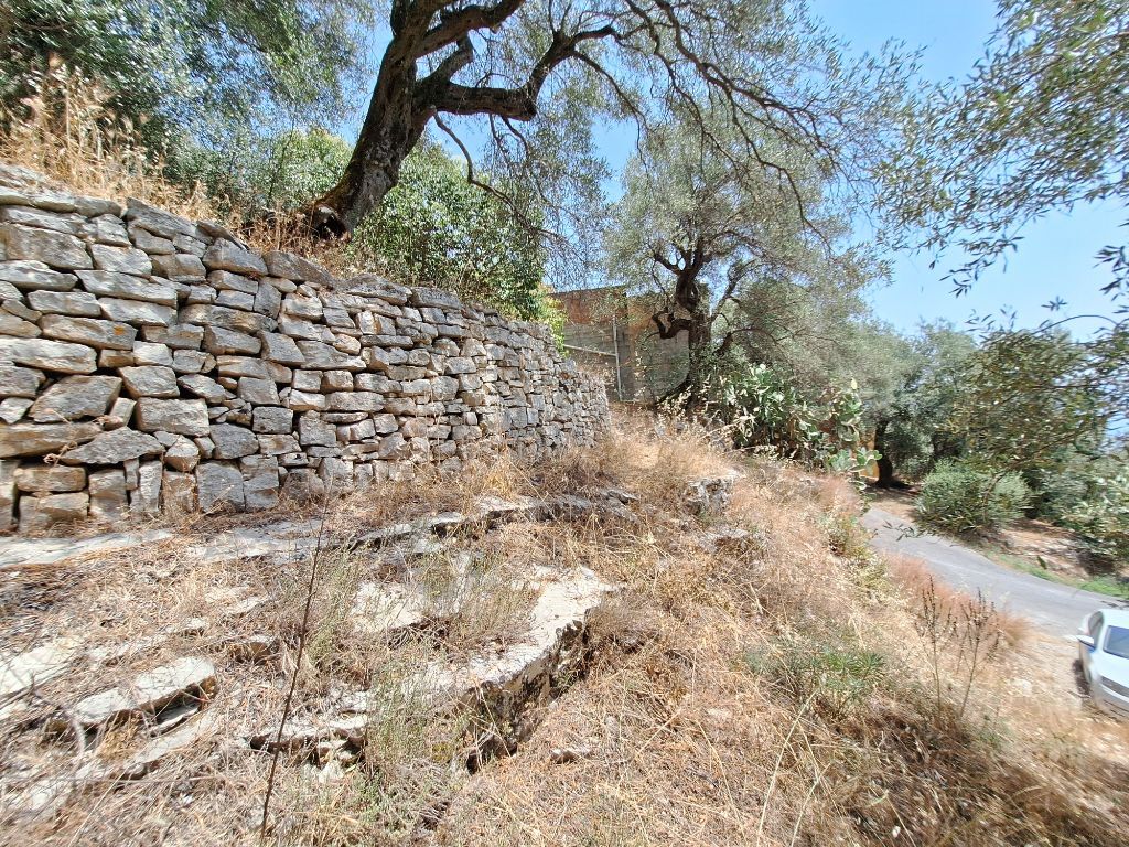 Земля на Корфу, Греция, 6 000 м² - фото 12