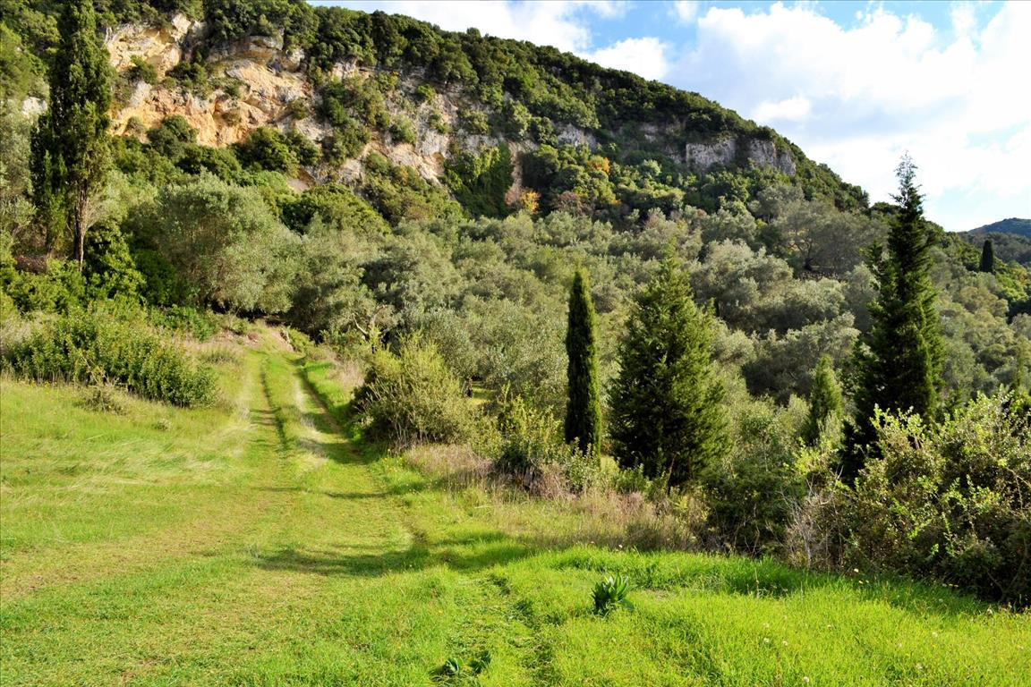 Земля на Корфу, Греция, 15 000 м² - фото 12