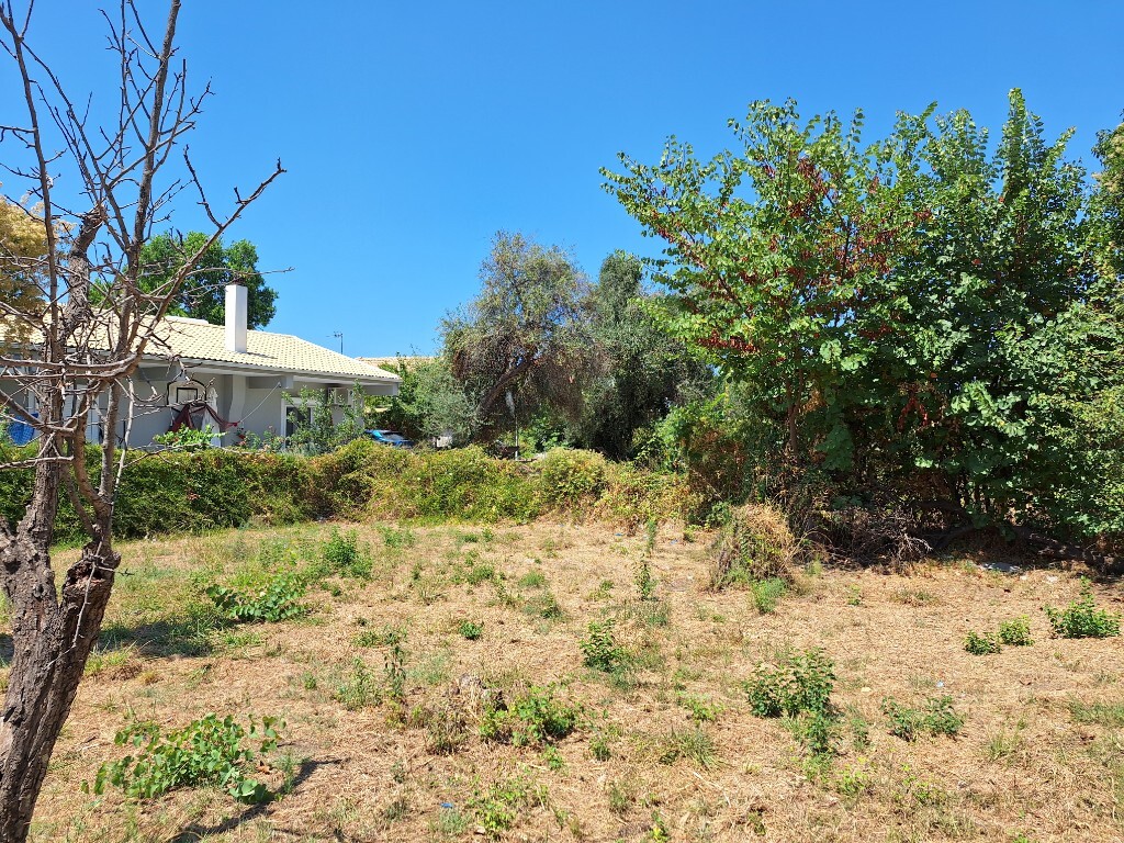 Земля на Корфу, Греция, 4 600 м² - фото 12