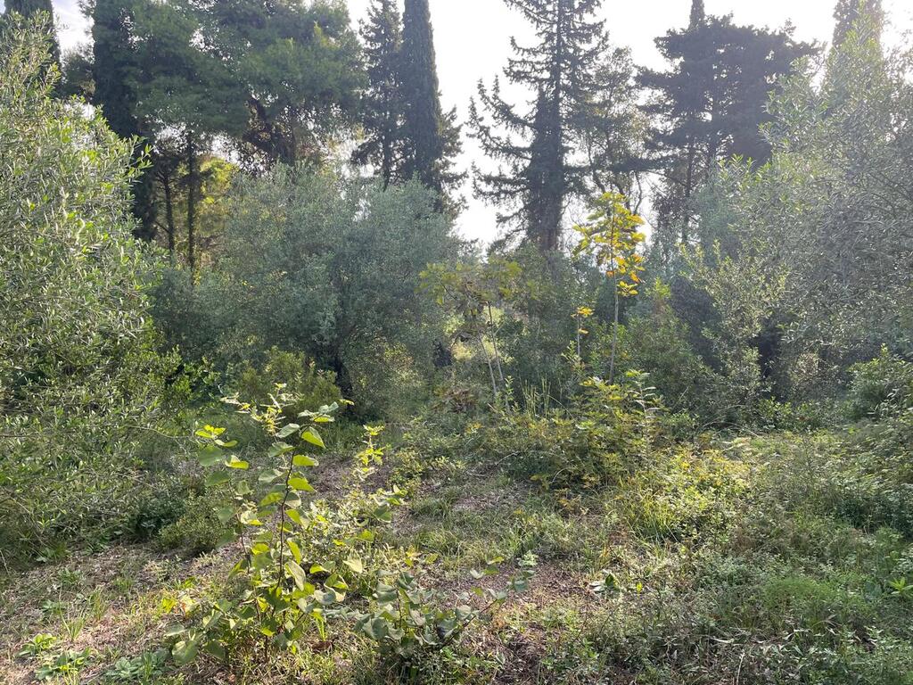 Земля на Корфу, Греция, 3 321 м² - фото 12