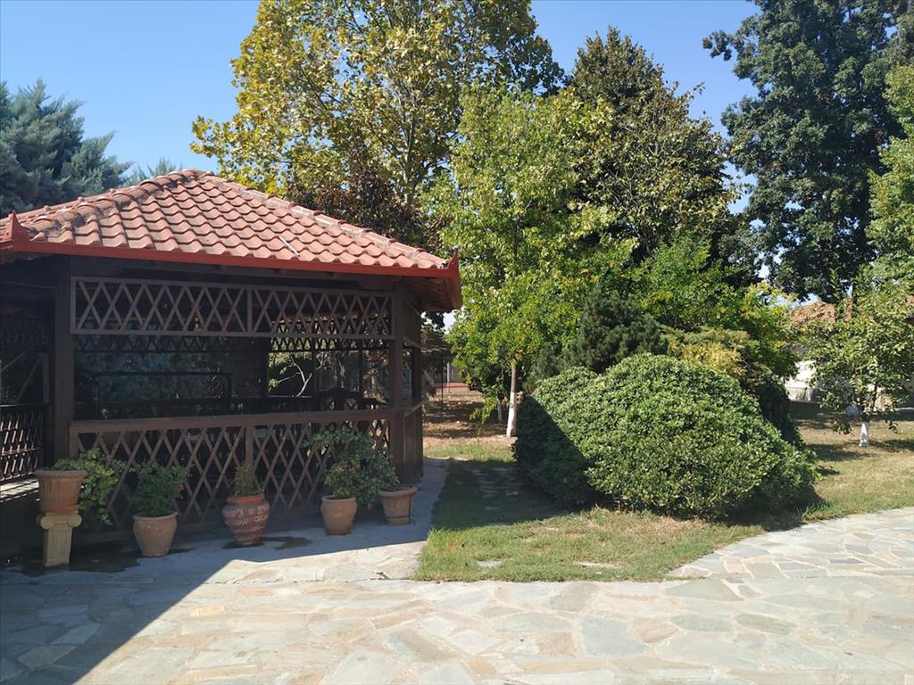 Вилла в Олимпиаки-Акти, Греция, 400 м² - фото 12