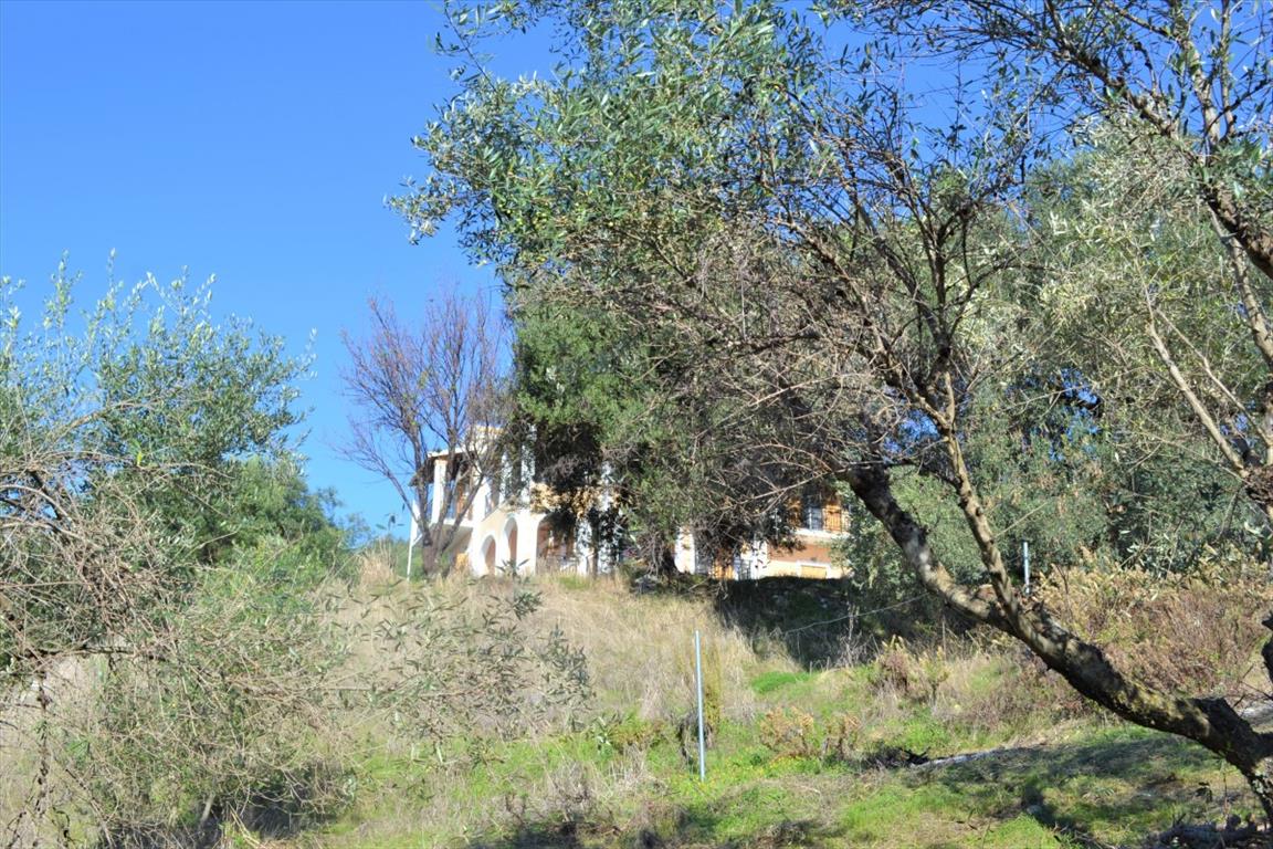 Земля на Корфу, Греция, 8 841 м² - фото 12