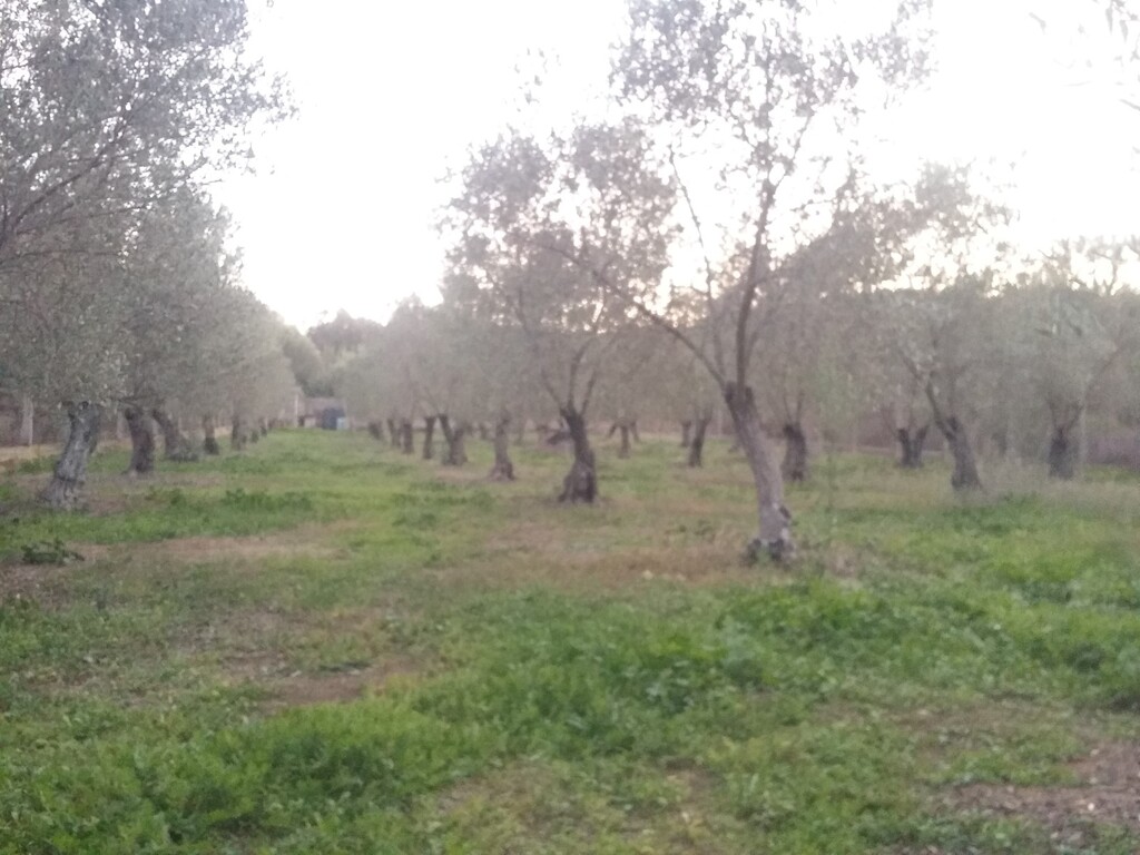 Дом на Халкидиках, Греция, 350 м² - фото 12