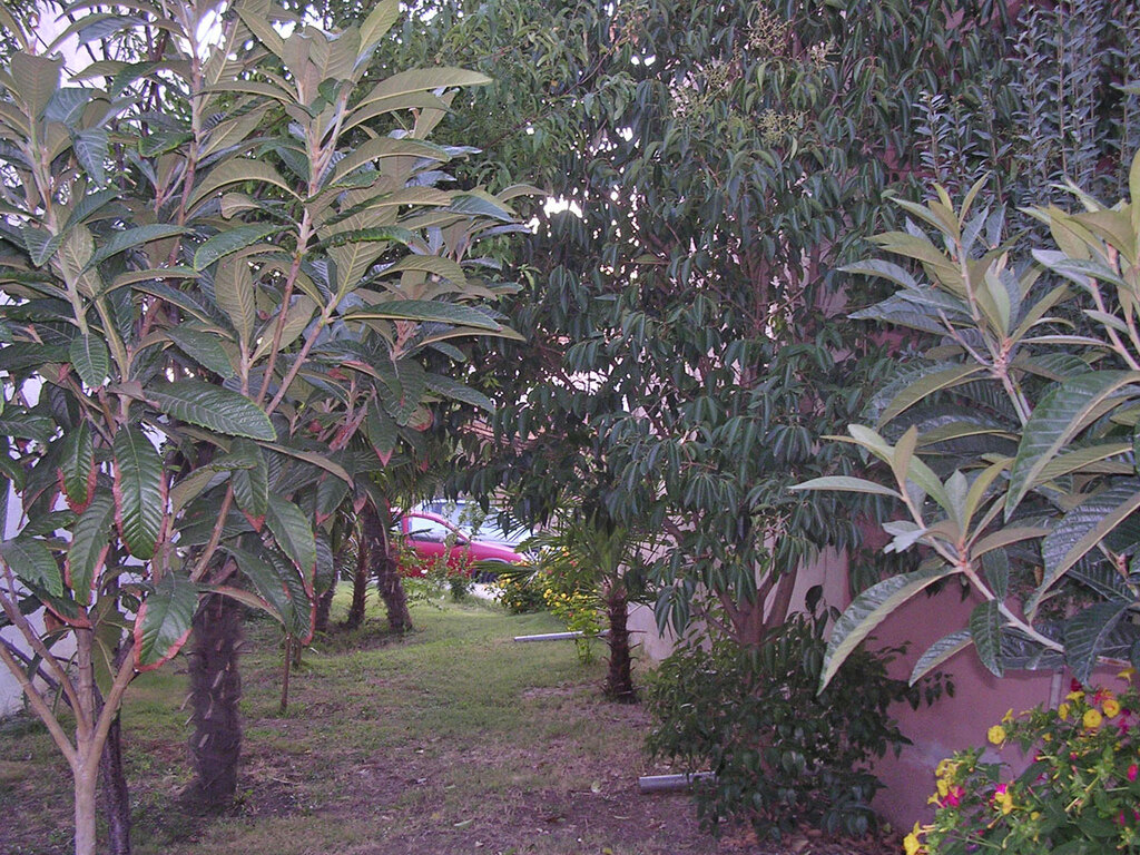 Дом в Олимпиаки-Акти, Греция, 240 м² - фото 12