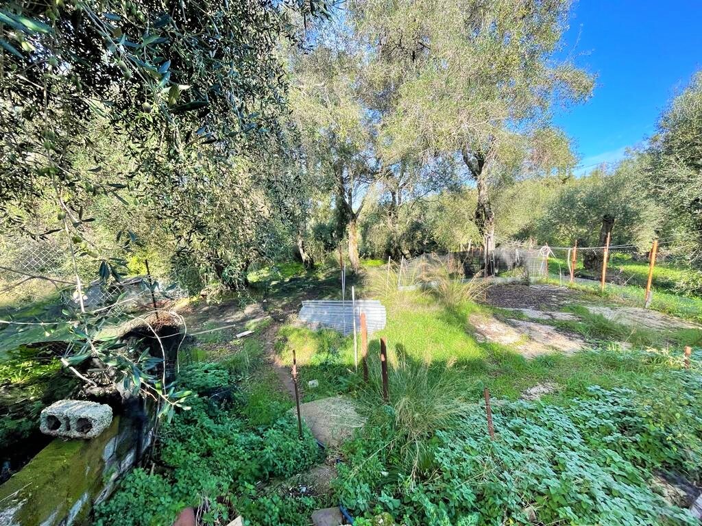 Дом на Корфу, Греция, 190 м² - фото 12