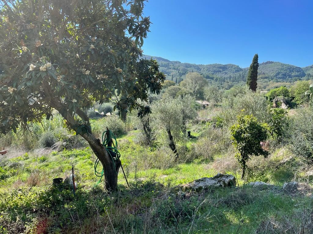 Земля на Корфу, Греция, 5 500 м² - фото 12