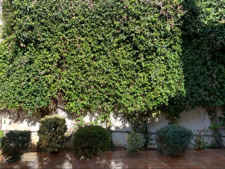 Вилла в Аттике, Греция, 298 м² - фото 12