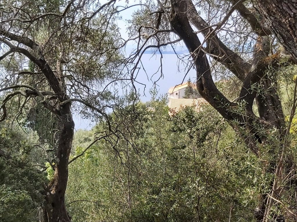 Земля на Корфу, Греция, 18 000 м² - фото 12