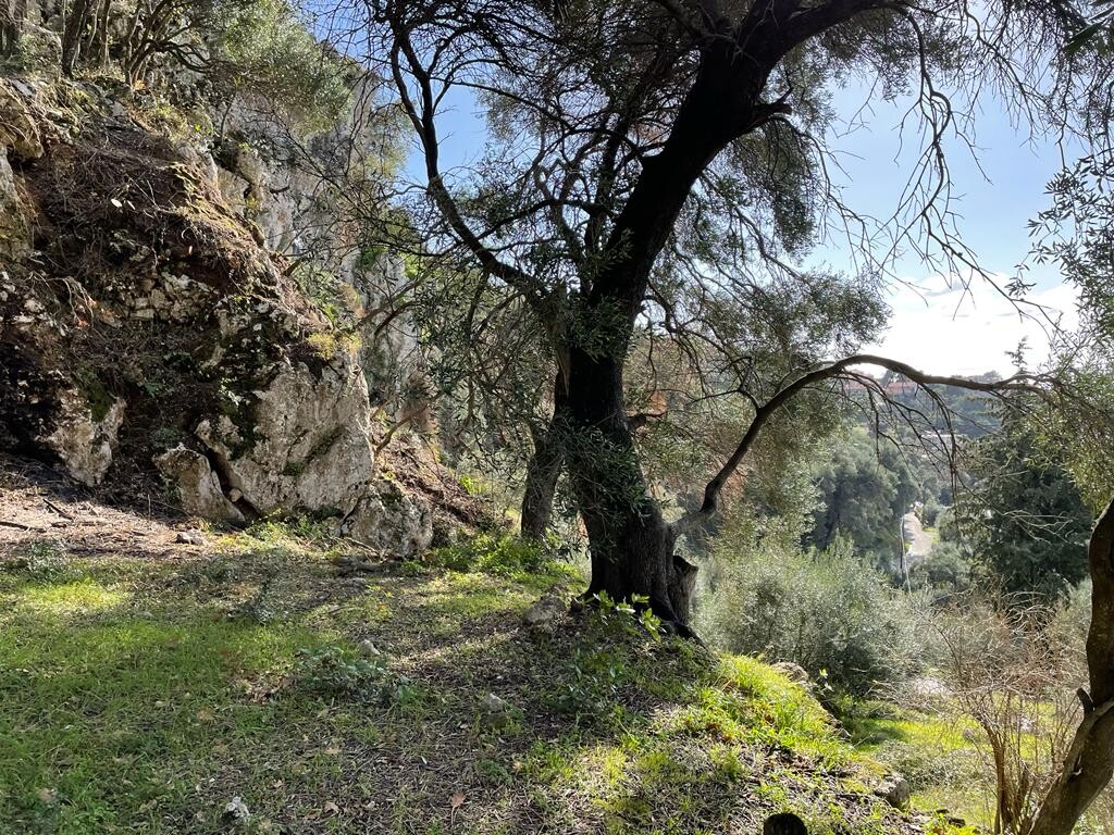 Земля на Корфу, Греция, 6 260 м² - фото 12