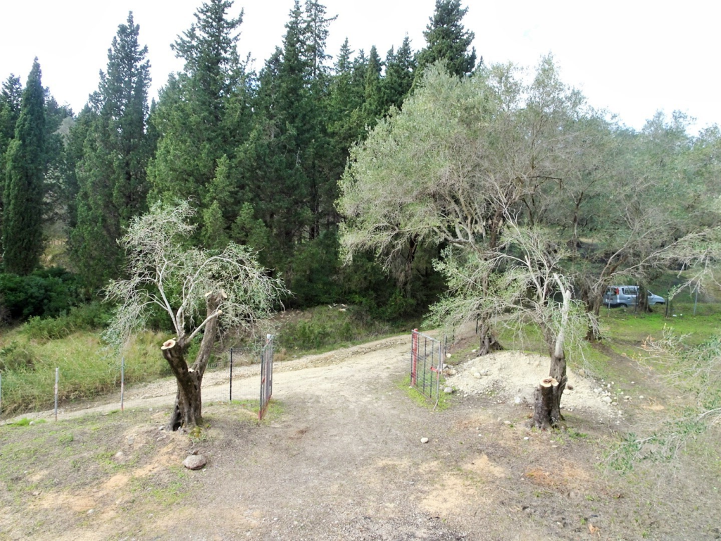 Дом на Корфу, Греция, 240 м² - фото 13