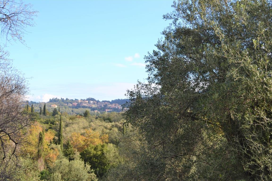 Земля на Корфу, Греция, 5 500 м² - фото 13