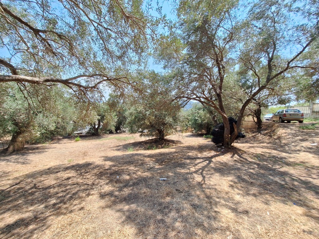 Земля на Корфу, Греция, 12 000 м² - фото 13