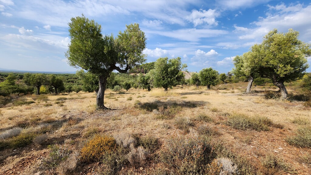 Земля в Ситонии, Греция, 37 500 м² - фото 13