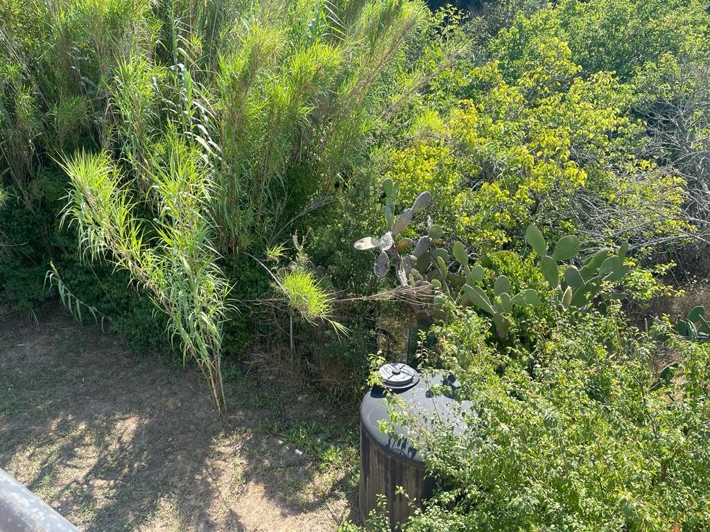 Дом на Корфу, Греция, 80 м² - фото 13