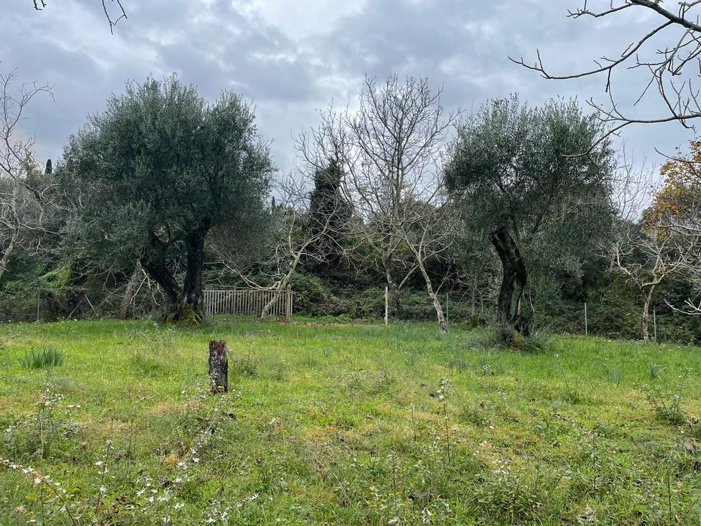 Земля на Корфу, Греция, 2 463 м² - фото 13