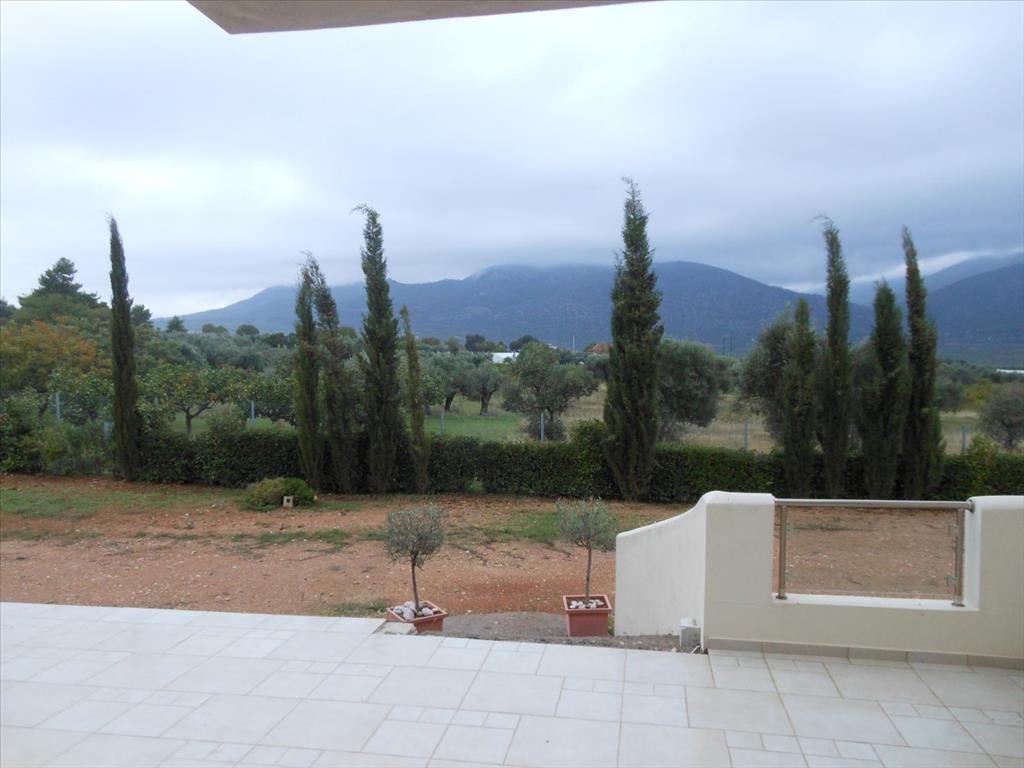 Дом в Аттике, Греция, 230 м² - фото 13