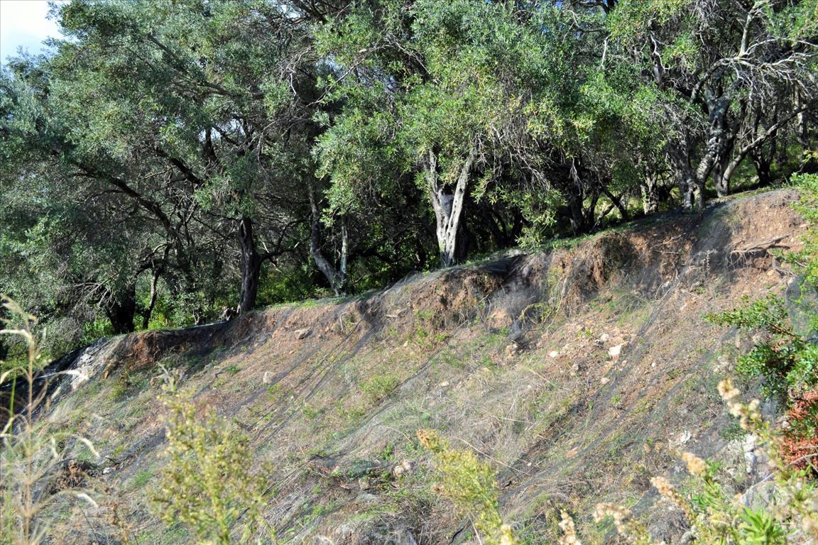 Земля на Корфу, Греция, 14 530 м² - фото 13