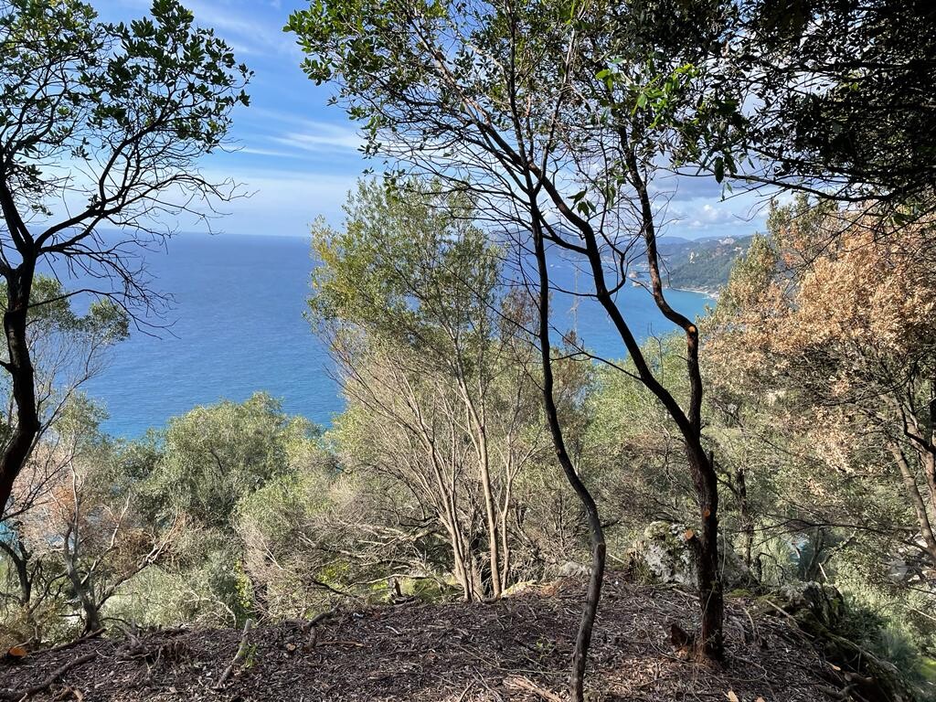 Земля на Корфу, Греция, 6 260 м² - фото 13