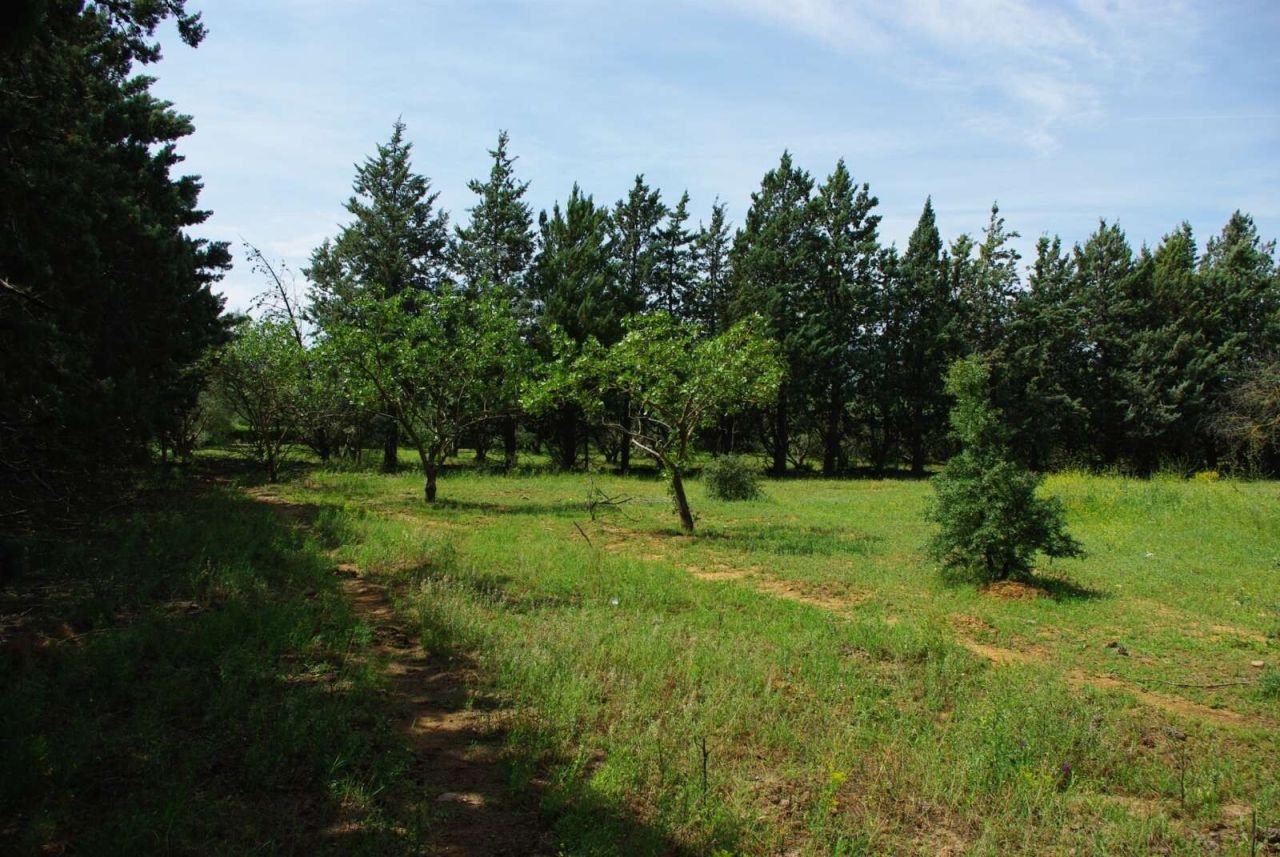 Дом в Салониках, Греция, 200 м² - фото 13