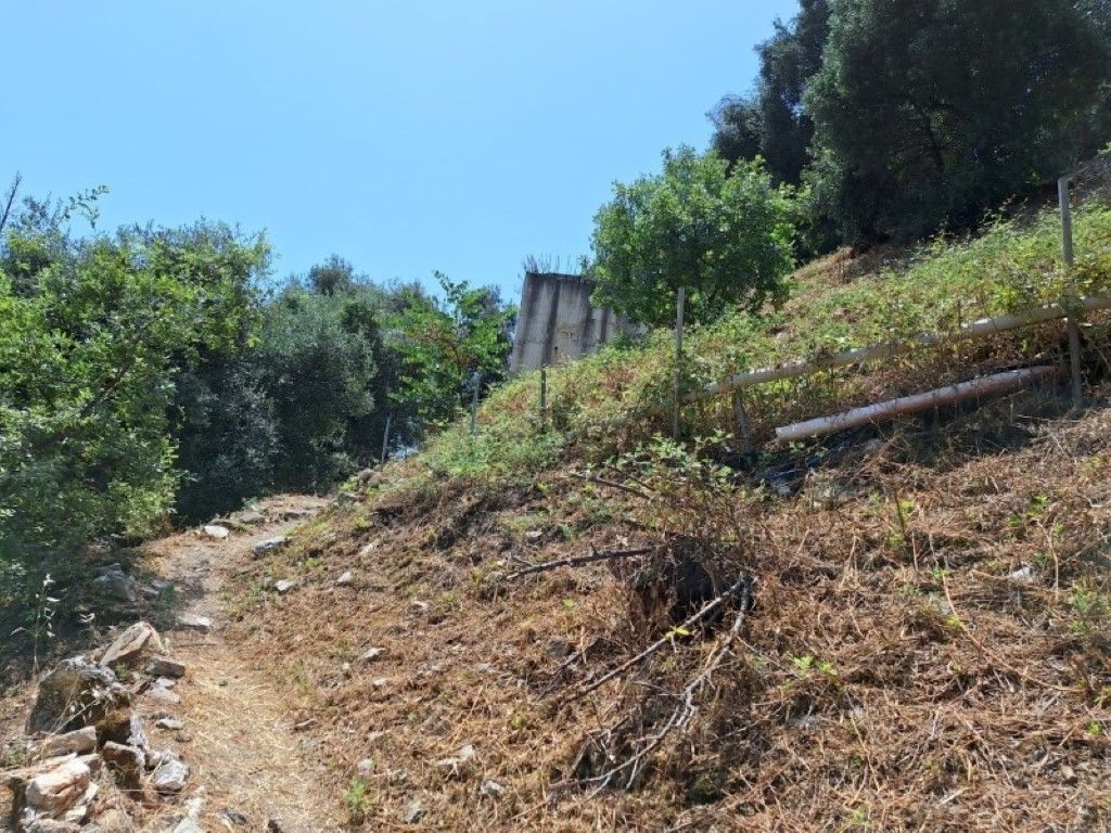 Земля на Корфу, Греция, 2 100 м² - фото 13