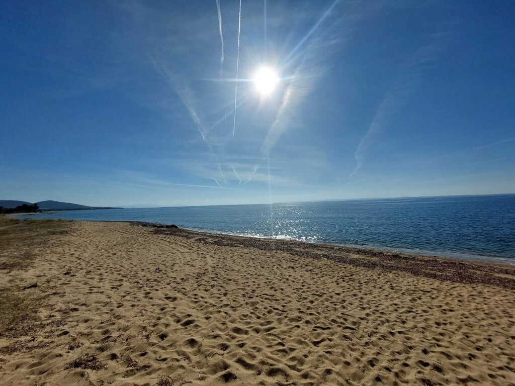 Земля в Ситонии, Греция, 2 481 м² - фото 13