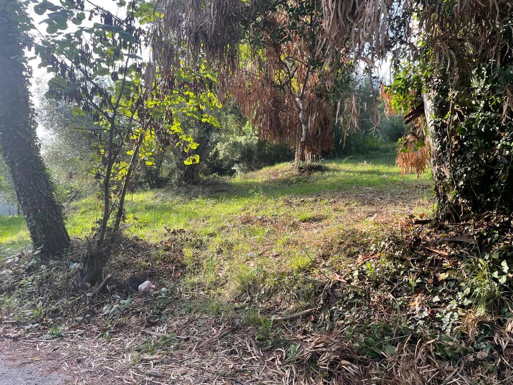 Земля на Корфу, Греция, 3 321 м² - фото 13