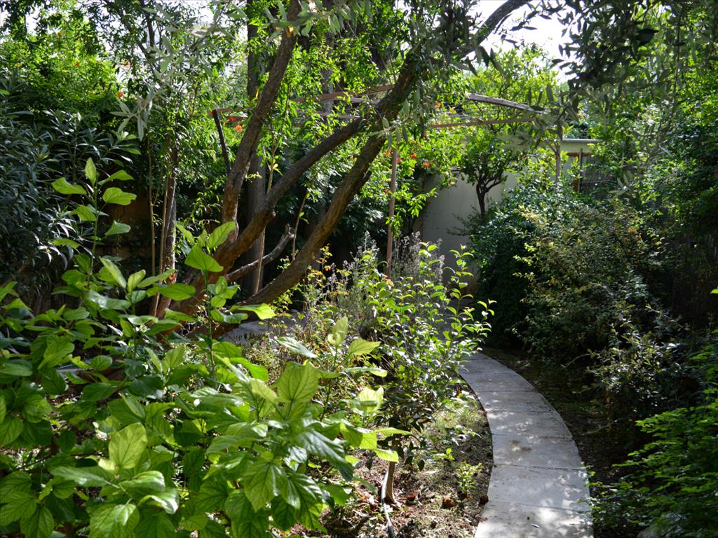 Дом в Афинах, Греция, 122 м² - фото 13