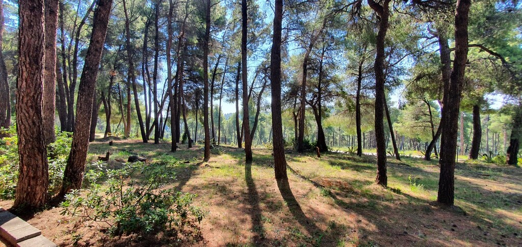 Вилла на Кассандре, Греция, 440 м² - фото 13