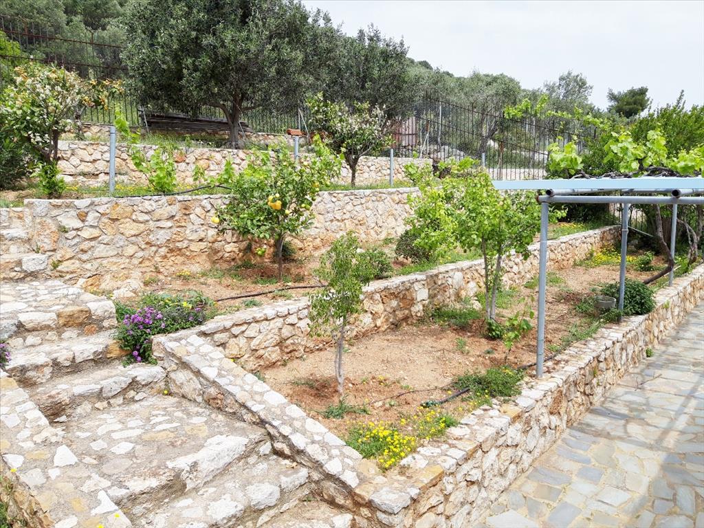 Мезонет в Аттике, Греция, 220 м² - фото 13