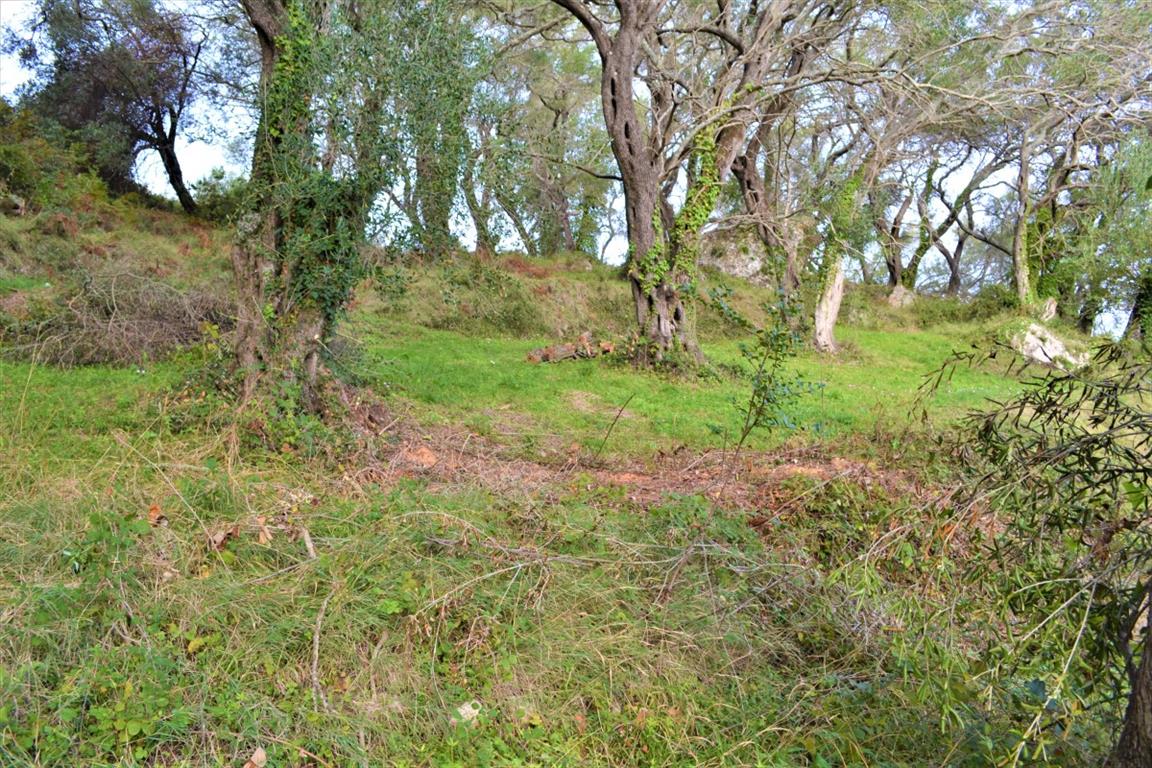 Земля на Корфу, Греция, 3 136 м² - фото 13