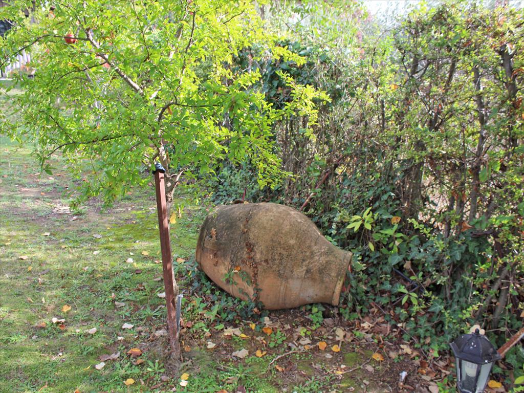 Дом в Олимпиаки-Акти, Греция, 220 м² - фото 13