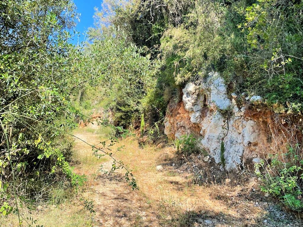 Земля на Корфу, Греция, 90 000 м² - фото 13