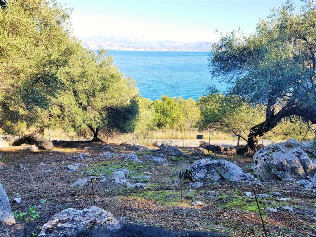 Земля на Корфу, Греция, 12 000 м² - фото 13