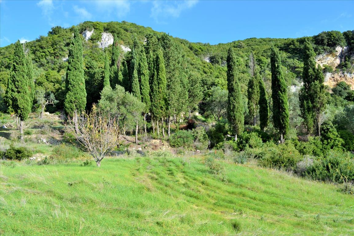 Земля на Корфу, Греция, 15 000 м² - фото 13