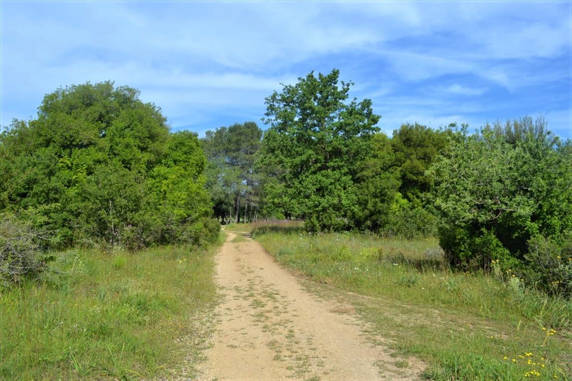 Земля на Корфу, Греция, 72 000 м² - фото 13