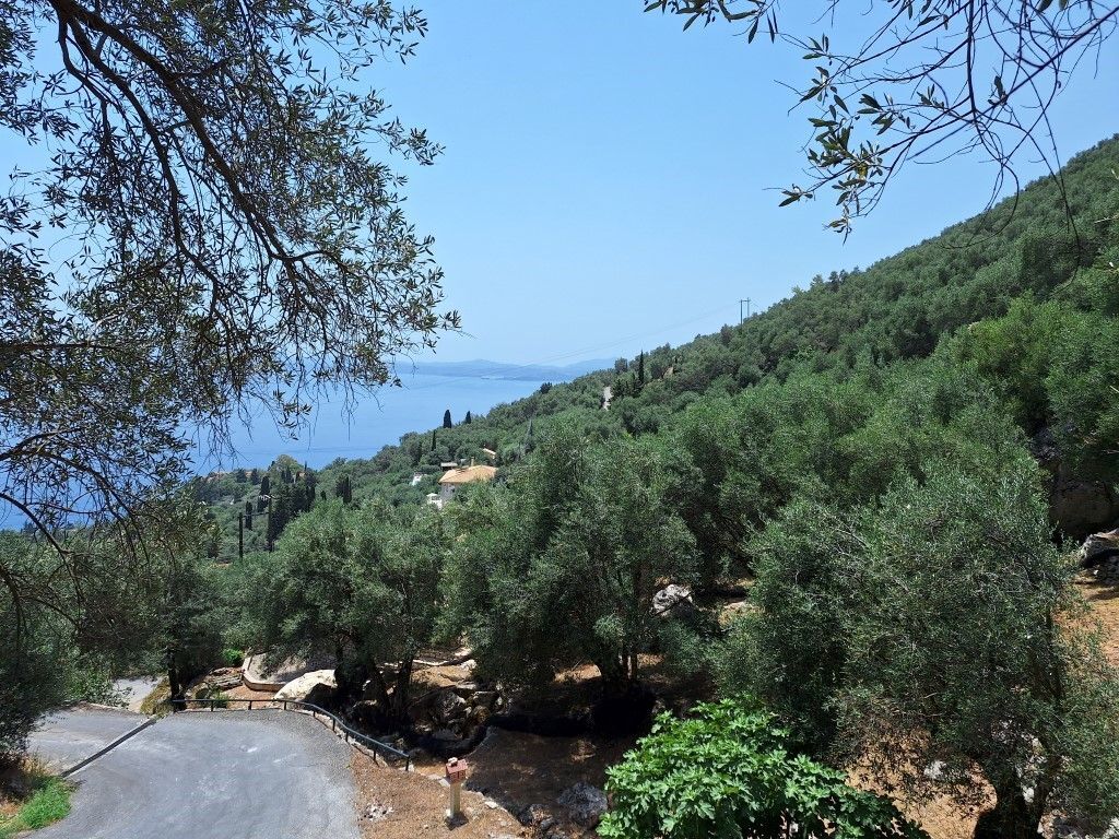 Земля на Корфу, Греция, 6 000 м² - фото 13