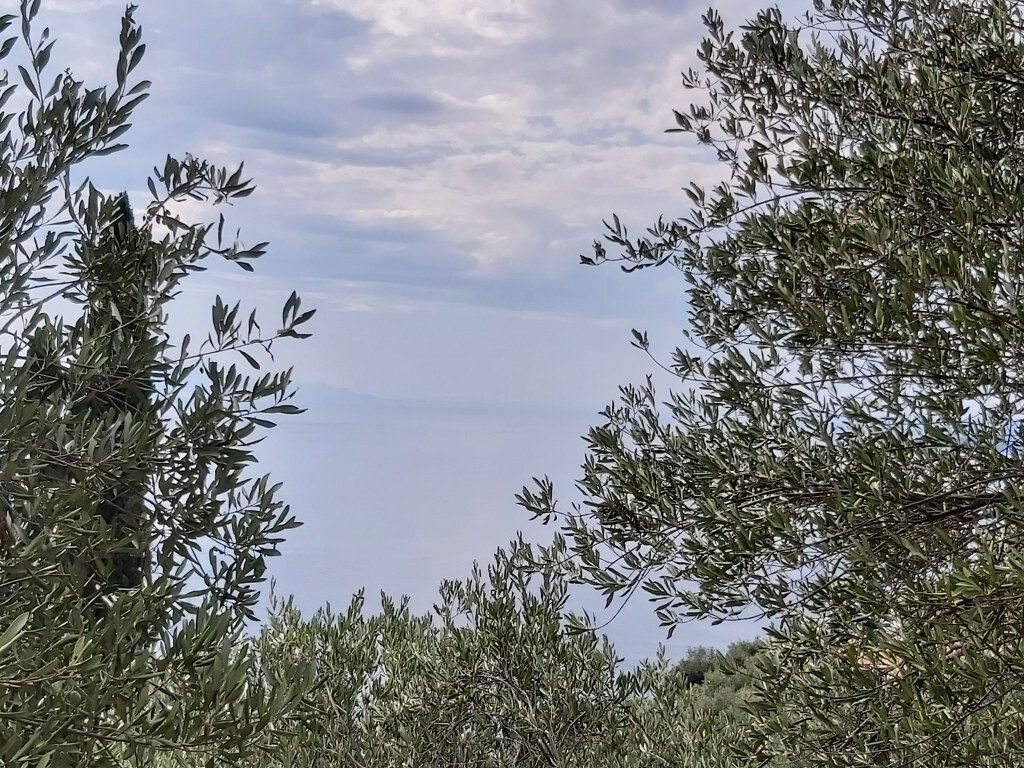 Земля на Корфу, Греция, 18 000 м² - фото 13