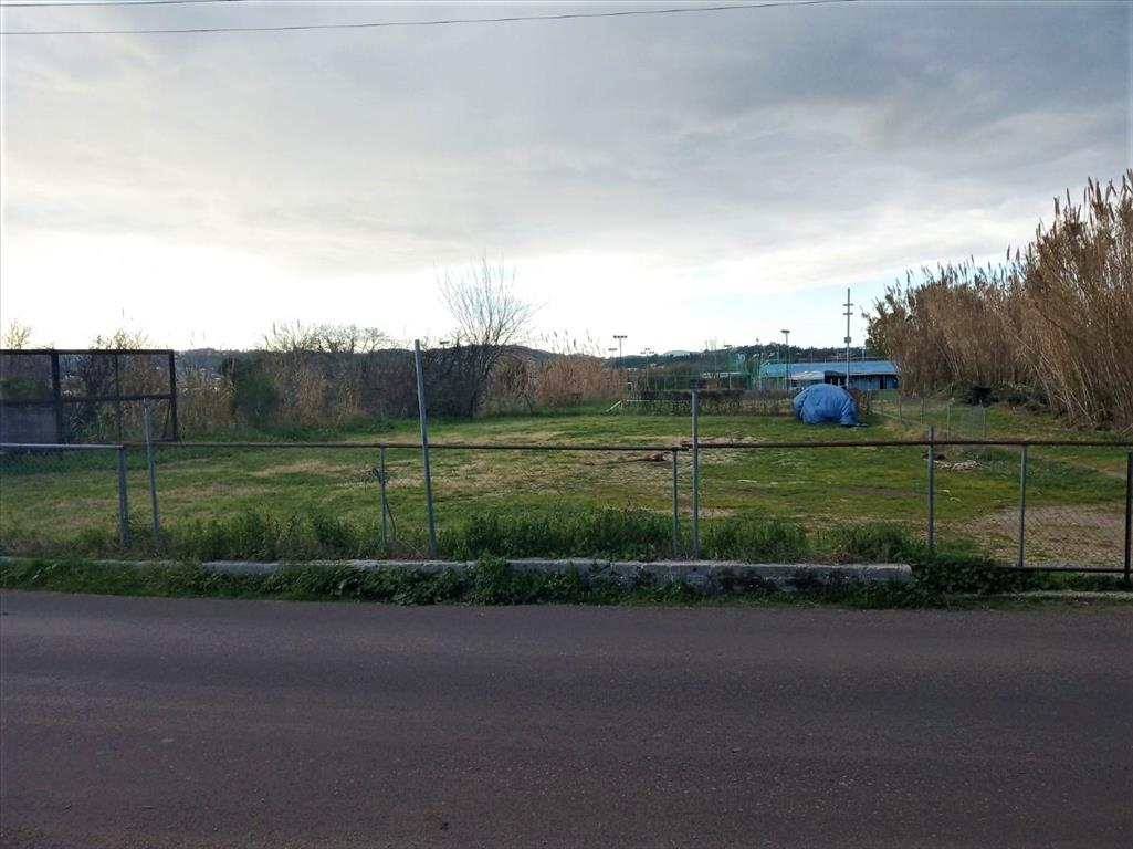 Земля на Корфу, Греция, 4 400 м² - фото 13