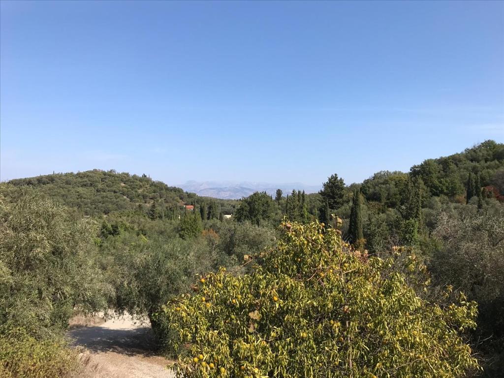 Земля на Корфу, Греция, 4 000 м² - фото 13