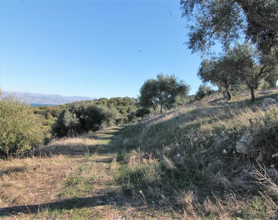 Земля на Корфу, Греция, 41 000 м² - фото 13