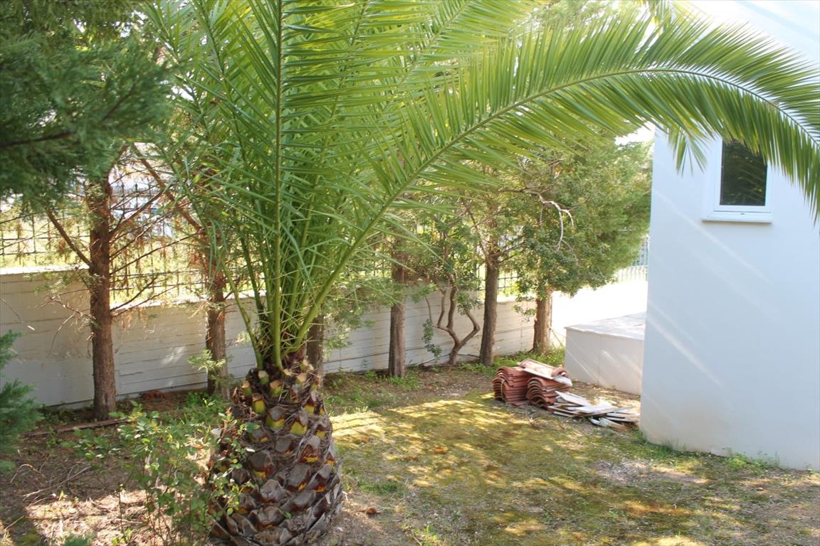 Дом в Аттике, Греция, 260 м² - фото 14