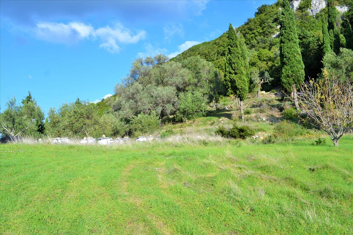 Земля на Корфу, Греция, 15 000 м² - фото 14