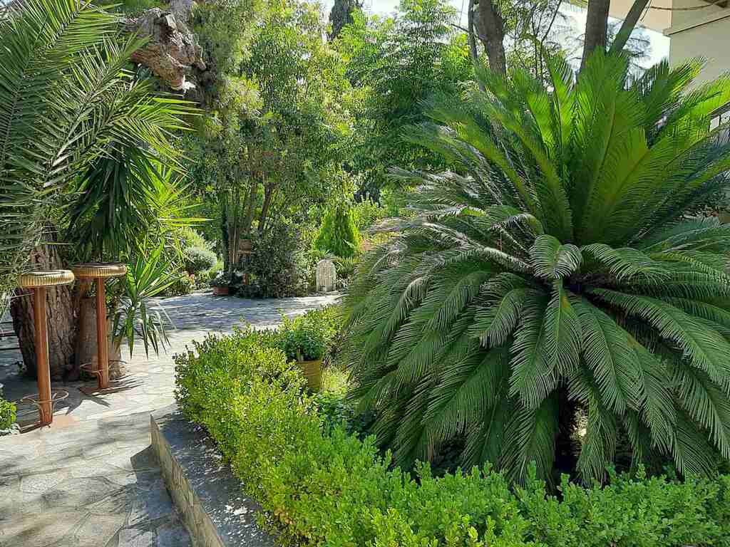 Дом в Аттике, Греция, 275 м² - фото 14