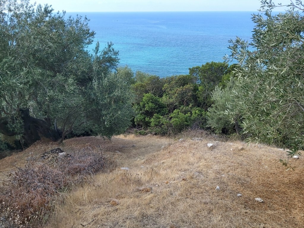 Земля на Корфу, Греция, 8 600 м² - фото 14