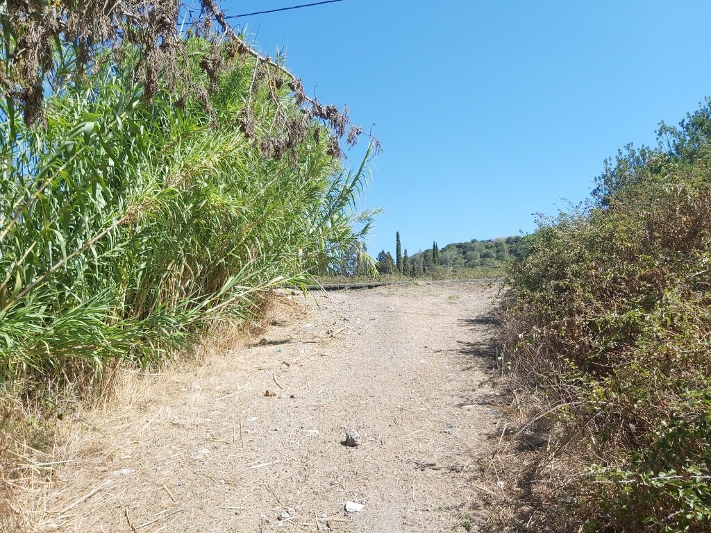 Земля на Корфу, Греция, 60 000 м² - фото 14