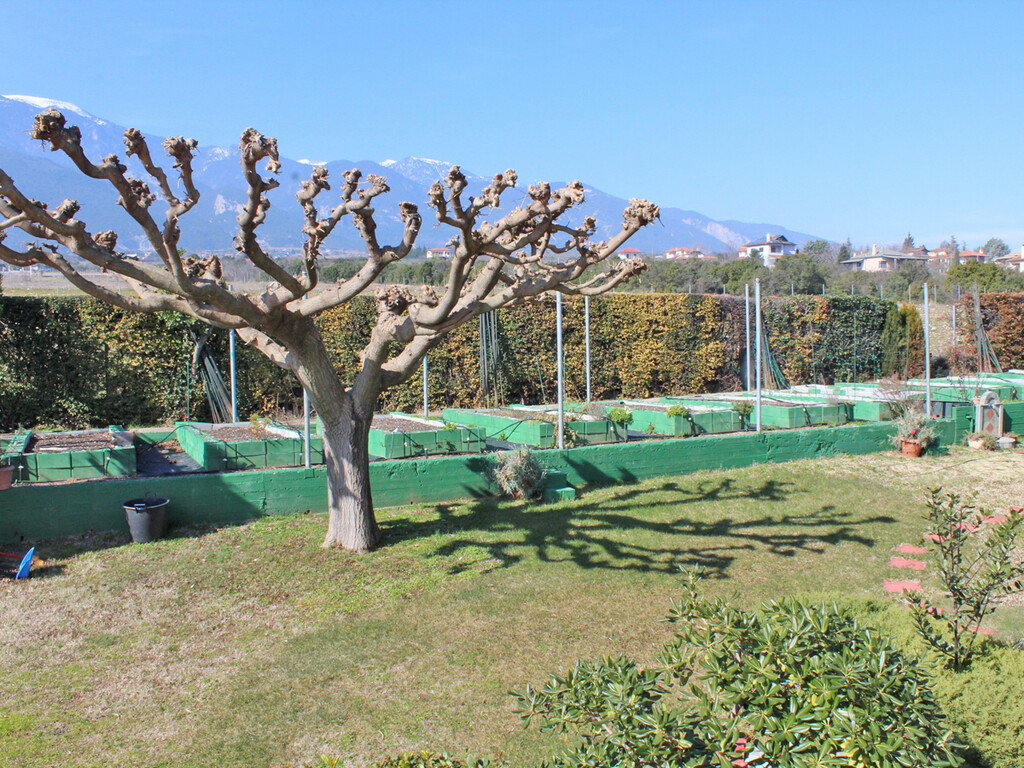 Вилла в Олимпиаки-Акти, Греция, 178 м² - фото 14